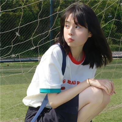 森林之北